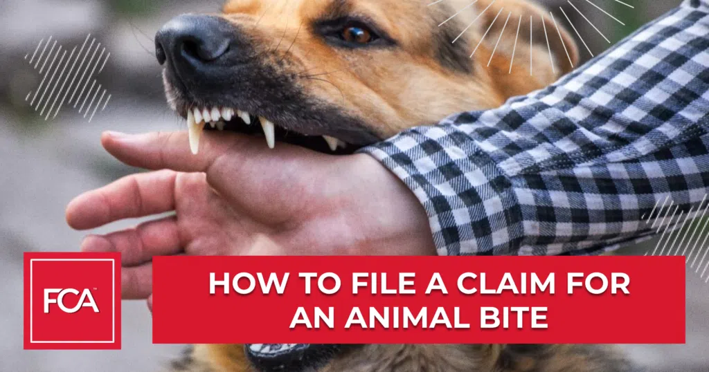 Claim for an Animal Bite