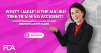 Malibu Tree-Trimming Accident