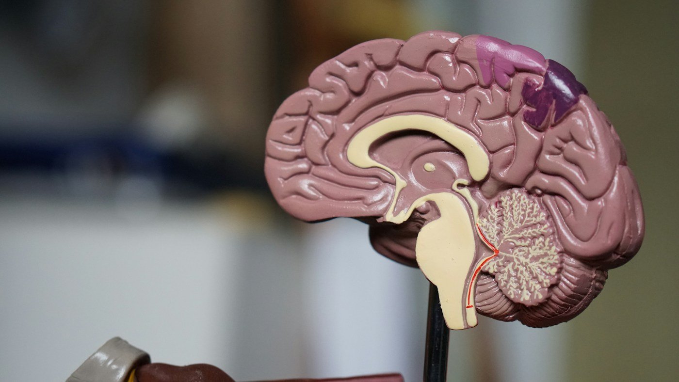 Medical imaging environment representing a traumatic brain injury legal claim