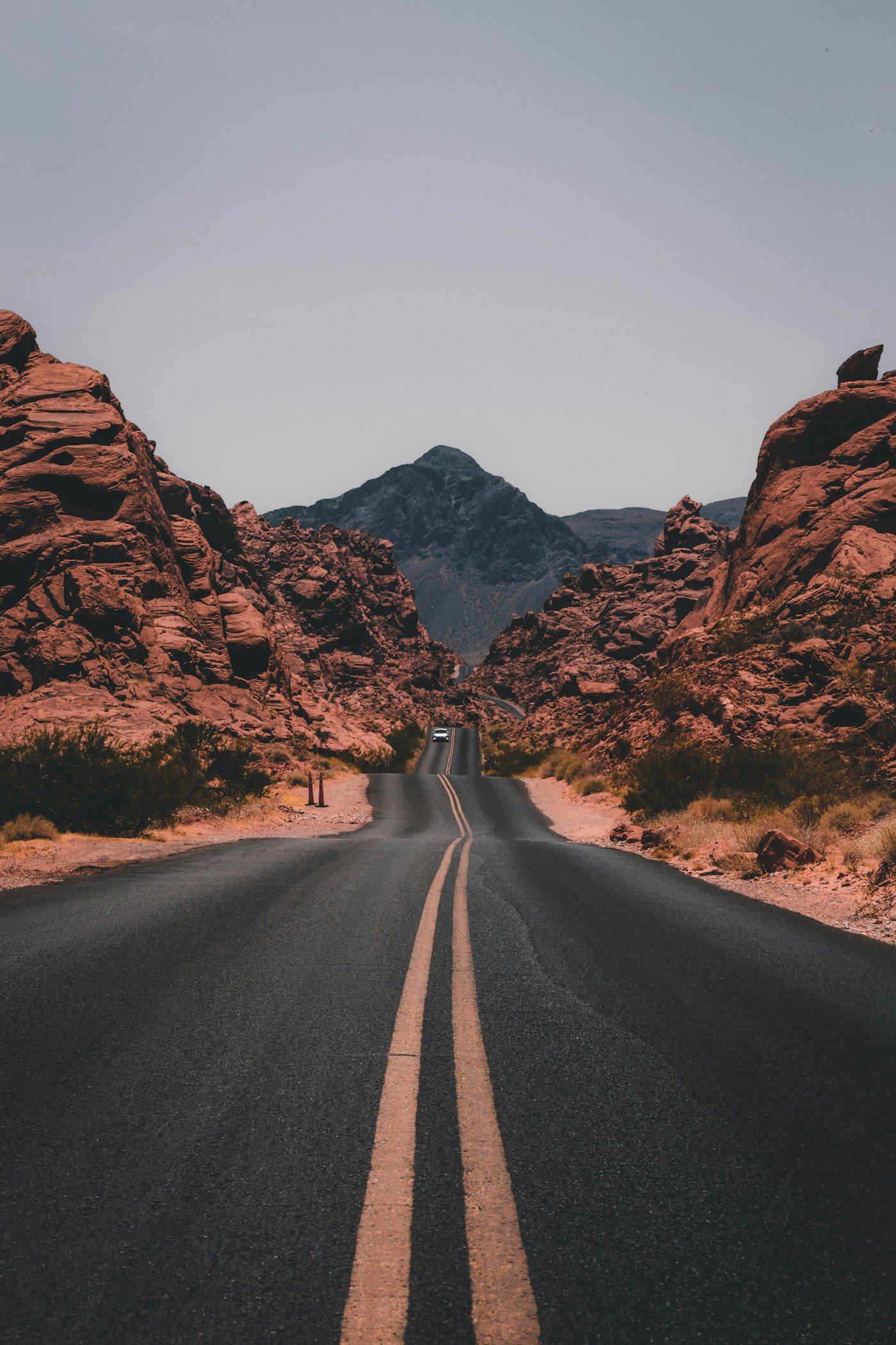 Quiet natural landscape representing support during a pending wrongful death claim